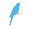 a-21-i-134936